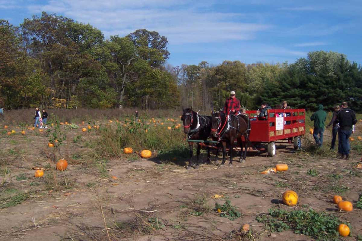 Rasmussen's Apple Acres - Cortland