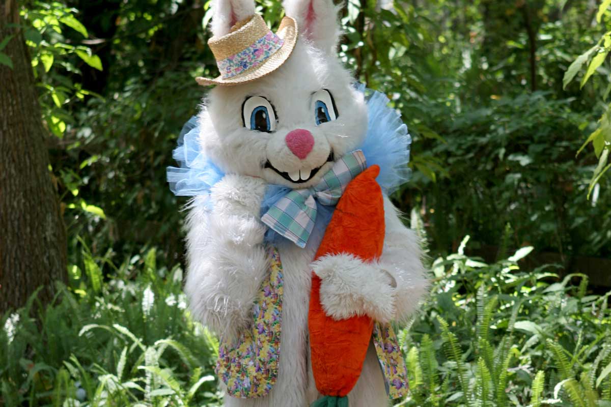 2023 Oshkosh Easter Guide Egg Hunts, Bunny Visits, Brunch, and more!
